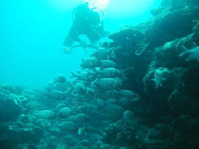P1010016_2