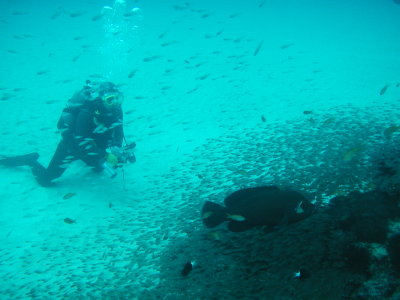 P1010068