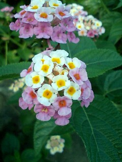 10/4・天気