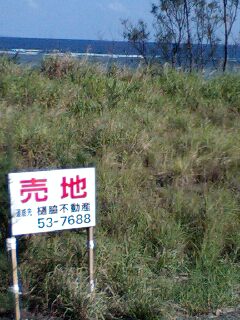 奄美大島・海が見える土地