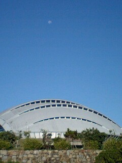 奄美大島・月