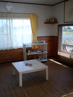 奄美大島・民宿さらさ