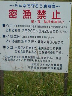 奄美大島の漁師の取組