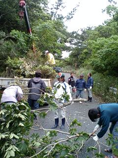 奄美漁協・イカ柴投入
