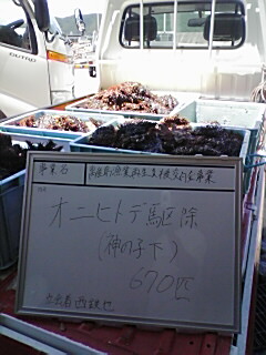 離島再生・オニヒトデ