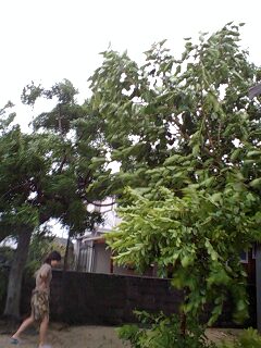 停電中・奄美大島