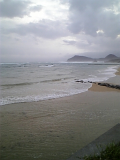 奄美大島台風15<br />
 号