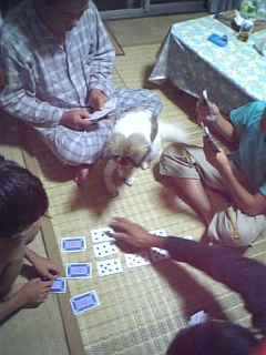 奄美大島入れて