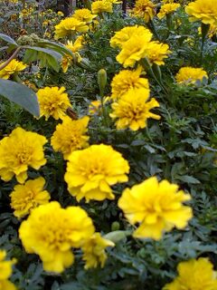 １１／１２・奄美大島の天気