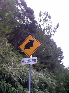 奄美大島珍しい看板