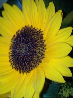 １１／２０・奄美大島の天気