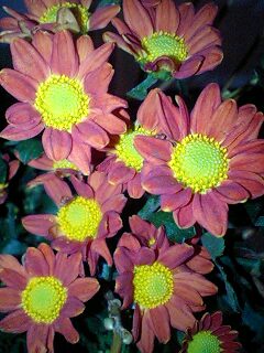 １１／２１・奄美大島の天気