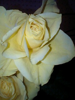 １１／２３・奄美大島の天気