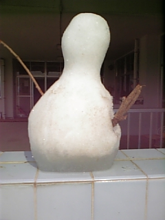 奄美大島雪