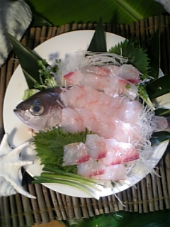 奄美の魚販売促進部