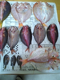 奄美大島うまい！