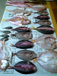 奄美大島うまい